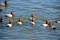 13 04 14_2954_edited-1